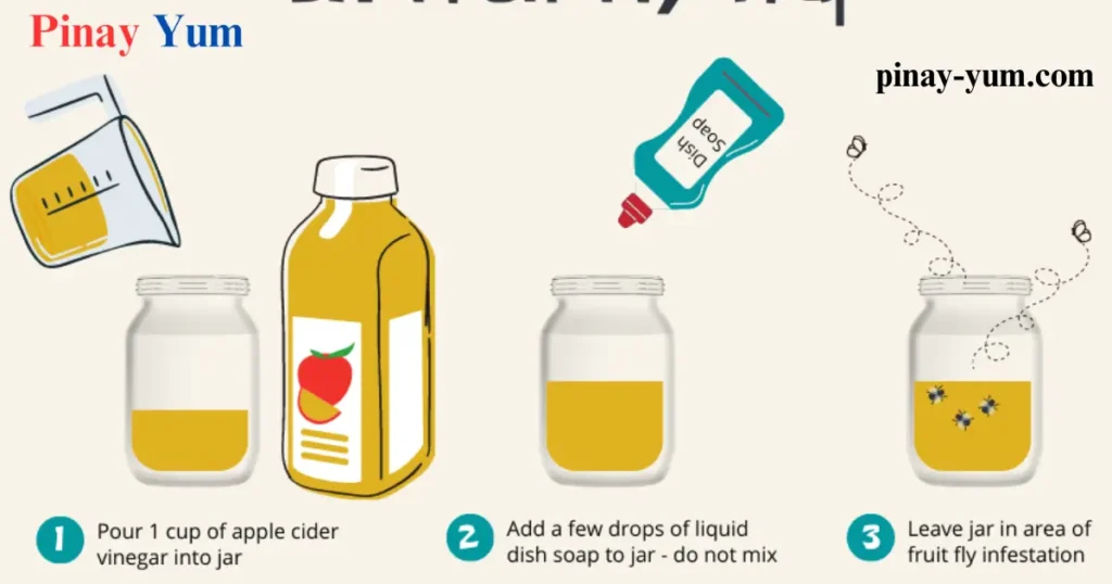 How to Get Rid of Fruit Flies Effective Home Solutions