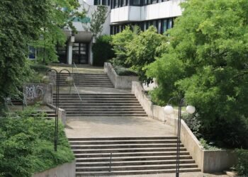 Flavor, Community, and the Shared Joy of Food and Sport